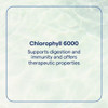 Trace Minerals Concentrated Ionic Chlorophyll