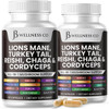 JB Wellness Co Lions Mane Supplement Cognitive Support, Immune Health