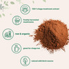 Micro Ingredients Organic Chaga Mushroom Extract, 10 oz