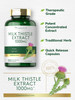 Carlyle Milk Thistle | 300 Capsules | Non-GMO, Gluten Free Extract