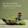 Gaia Herbs Cordyceps Mushroom