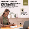 Garden of Herbz Organic Ashwagandha Root & Irish Sea Moss