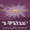 Nature's Way Turmeric Max Potency Premium Extract