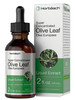 Horbäach Olive Leaf Extract Liquid - 2 fl oz - Super Strength