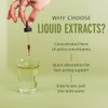Banyan Botanicals Lung Revive Liquid Extract