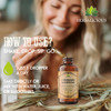 HERBALICIOUS Licorice Root Extract (Glycyrrhiza glabra)