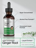 Horbäach Ginger Root Extract Liquid - 2 oz - Alcohol Free Supplement