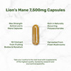 Lions Mane Mushroom Supplement, 240* Capsules