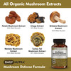 DailyNutra Mushroom Defense Formula - Immune Support Supplement