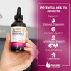 Maxx Herb PAU DArco Extract with Dandelion Root & Red Clover Therapeutic Blend