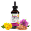 Maxx Herb PAU DArco Extract with Dandelion Root & Red Clover Therapeutic Blend