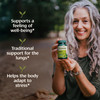 Banyan Botanicals Tulsi (Holy Basil) - Uplifting Adaptogen