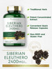 Carlyle Siberian Eleuthero - 300 Capsules - Non-GMO and Gluten Free Formula