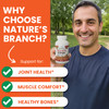 Turmeric and Ginger Supplement - Organic Turmeric & BioPerine