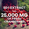 Cranberry Pills Supplement 25,000mg