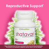 VH Nutrition SHATAVARI - 700mg Asparagus Racemosus Extract
