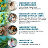 14-in-1 Lions Mane Supplement Capsules