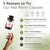 Organic Reishi Mushroom Capsules Supplement (120)