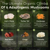 Organic Super Six Mushroom Blend Capsules Supplement (90)