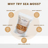Red's Kitchen Sink Irish Sea Moss - Seamoss - 1 Pound