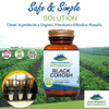 Pure Mountain Botanicals Black Cohosh Capsules