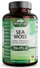 Sea Moss, Black Seed Oil, Bladderwrack, Turmeric, Ashwagandha, Burdock, Vitamin