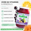 EverSmith Organics - Wildcrafted Irish Sea Moss Gel