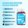 Sijigood 2 Pack Ashwagandha Gummies with L-theanine, Ashwa Root Supplement Gummy