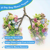 NutriONN Lung Detox and Cleanse - Great for Smokers