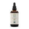 HerbEra Wormwood B120 USDA Organic Tincture