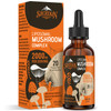 Liposomal Mushroom Complex Drops 2000 MG - 20 Organic Mushroom Extracts