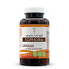 Secrets of the Tribe Sophora 120 Capsules, Made with Vegetable Capsules