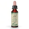 Bach Original Flower Remedies, Walnut (Non-Alcohol Formula)