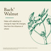 Bach Original Flower Remedies, Walnut (Non-Alcohol Formula)