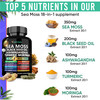 Adndale Sea Moss Black Seed Oil Ashwagandha Ginger Capsules. SeaMoss Capsules