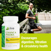 Jiva Botanicals Chanca Piedra Supplement - 550 mg per Serving