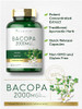 Carlyle Bacopa Monnieri Capsules | 180 Capsules | Gluten Free Supplement