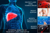 Research Labs 2 Pack Doctor Recommended Premium Liver Detox Cleanse & Support