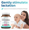 USDA Organic Fenugreek Capsules for Women