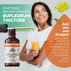 FLORIDA HERBS Bupleurum Tincture, Organic Bupleurum Extract (Bupleurum Chinense)