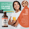 FLORIDA HERBS Calamus Tincture, Organic Calamus Extract (Acorus Calamus) Dried
