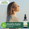 USDA Organic Mullein Drops for Lungs - Leaf Extract Tincture Supplement