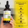 Maxx Herb Lemon Balm Extract