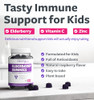 Sambucus Elderberry Gummies for Kids