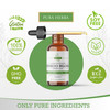 Pura Herba Ginkgo Biloba Extract Liquid 2 Fl Oz, Supplements for Brain Function