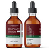 t.botanicals Eggplant Tincture, Eggplant Extract for Skin Disorders, Discolored