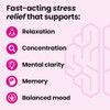 LifeSeasons NeuroQ Calm Focus Gummies - Stress Relief Supplement