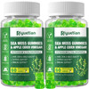 Riyuetian 2 Pack Sea Moss Gummies - 120 Vegan Irish Moss Gummy Bears