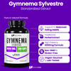 Healthfare Gymnema Sylvestre Supplement Extract 4000mg