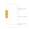 Integrative Therapeutics Curalieve - Curcumin Formula for Antioxidant Support*